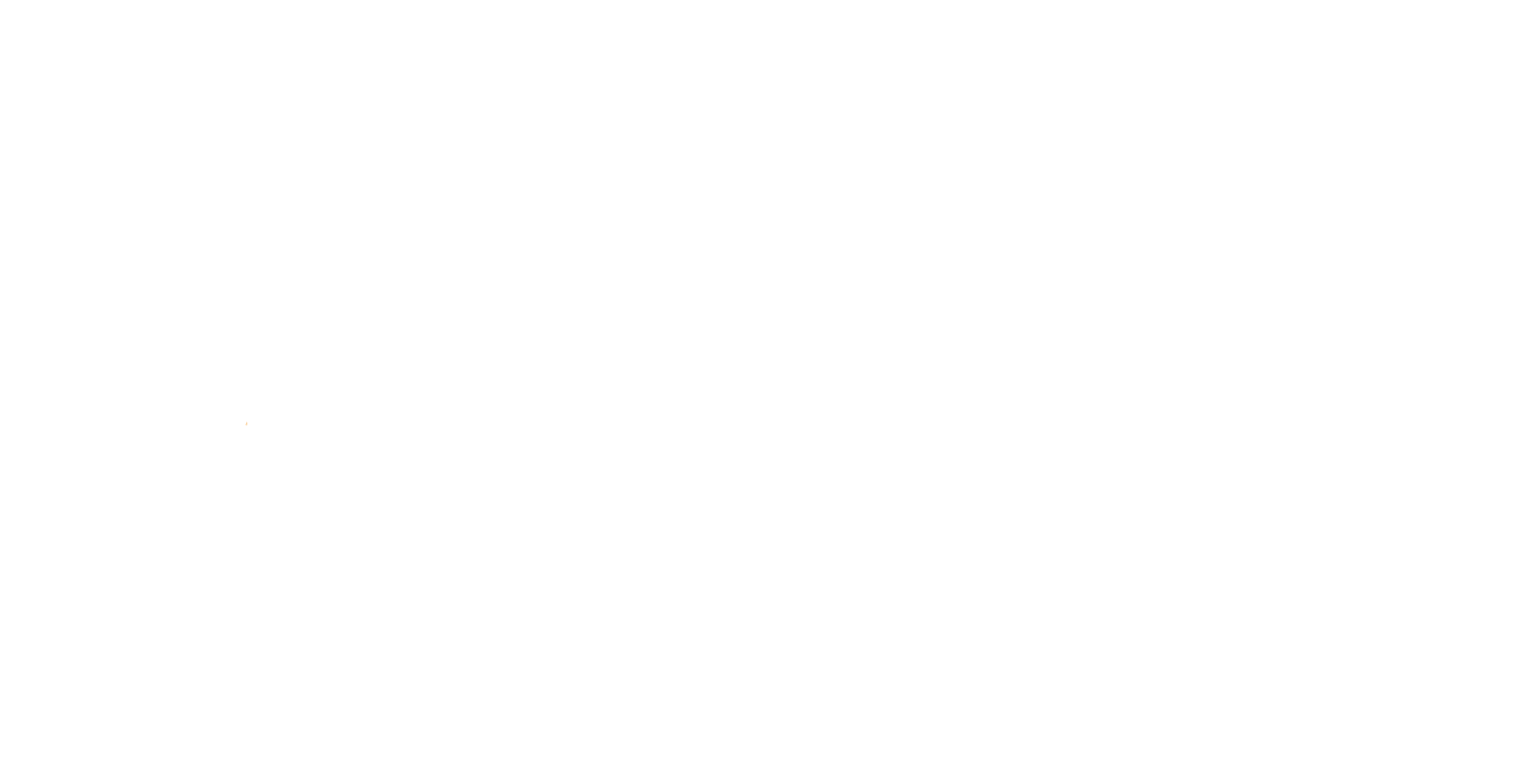Cyber Guru